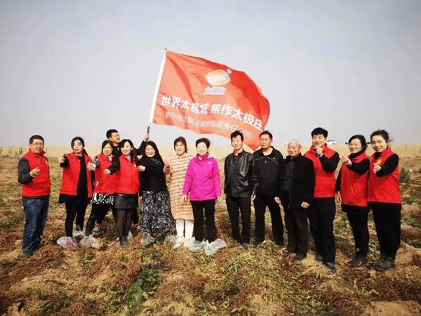 11月12日，眾人翹首以盼的太極莊山藥采挖活動在太極莊公司的溫縣·富硒鐵棍山藥標(biāo)準(zhǔn)化種植基地拉開帷幕