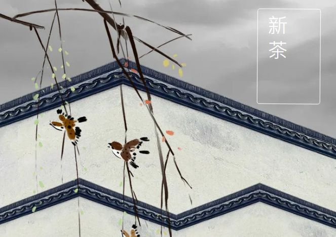 太極莊新菊上市！白菊婉清顏，芳香滿庭院