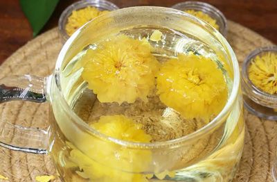 免費暢飲 消暑一夏|太極莊“清涼驛站”啟幕，一杯懷菊暖人心